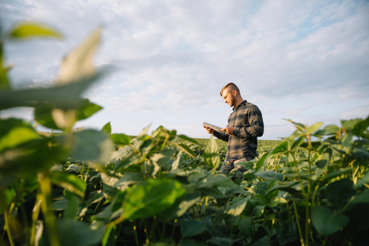 agricultural operations management