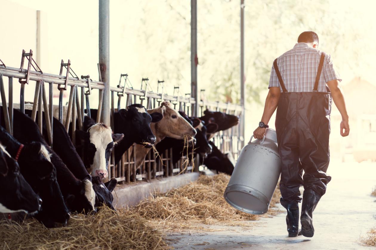 farm operations business growth