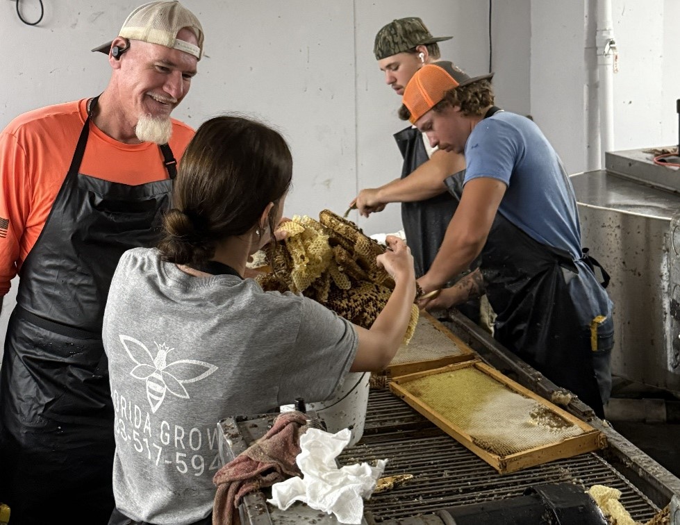 Harvesting honeycomb at Santa Fe Queens