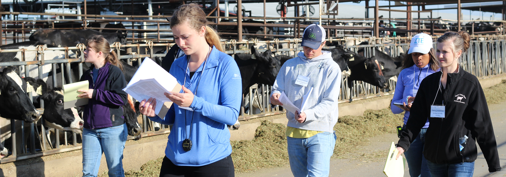 Student competitors on a dairy farm