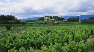 Healthy Farm