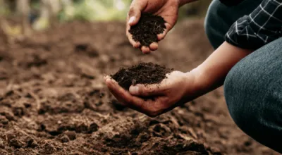 Soil Health for Producers in Virginia, West Virginia and Maryland