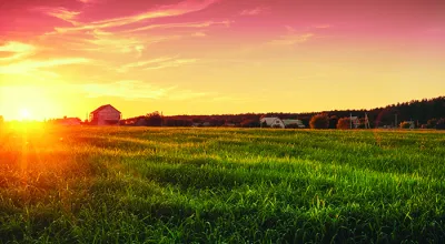 Farmland at sunset