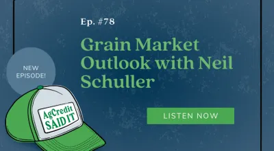 Episode 78 - Grain Outlook with Neil Schuller