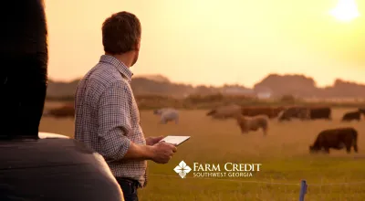 Young Farmer