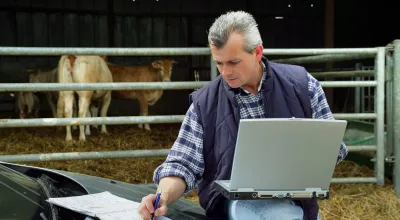 Five Tried and True Financial Strategies for Your Operation