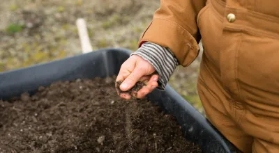 Soil