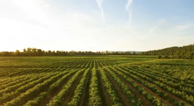 Essential Farm Loans You Should Know About with Scott Parker