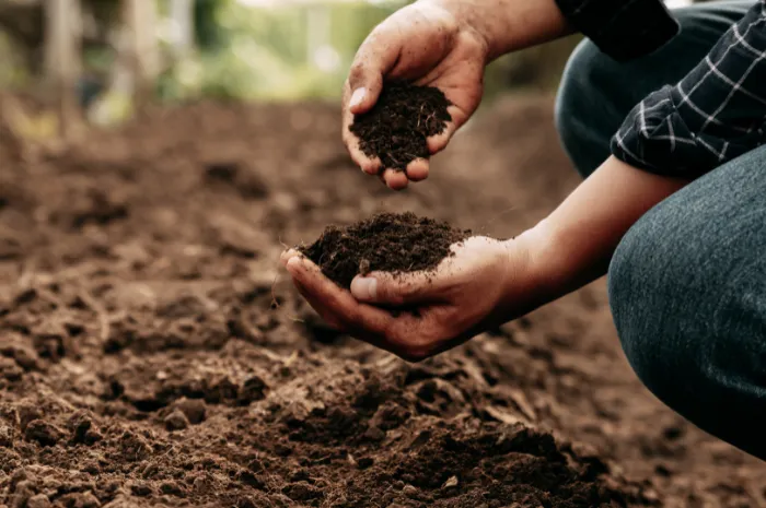 Soil Health for Producers in Virginia, West Virginia and Maryland