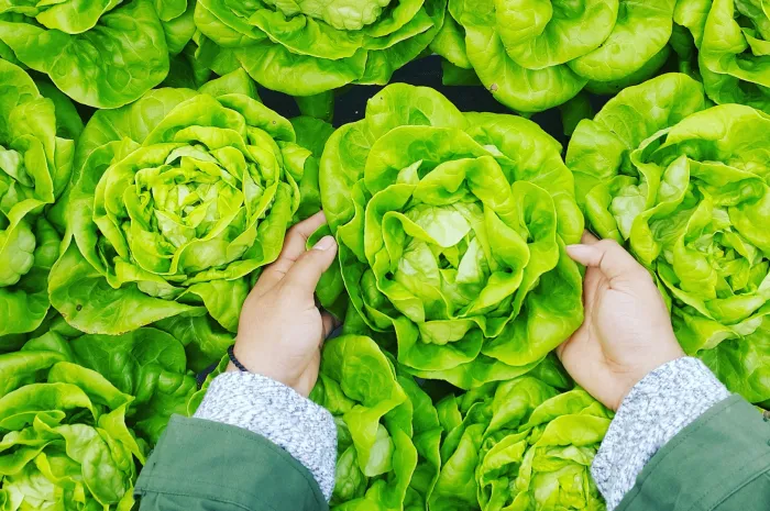 Seven Types Of Farm Loans You Should Know About