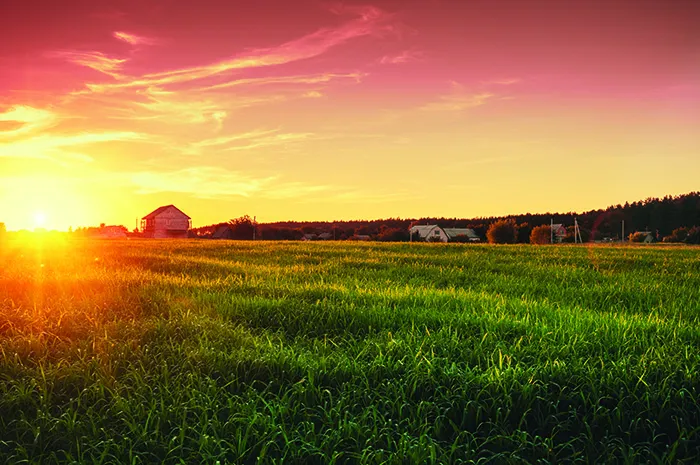 Farmland at sunset