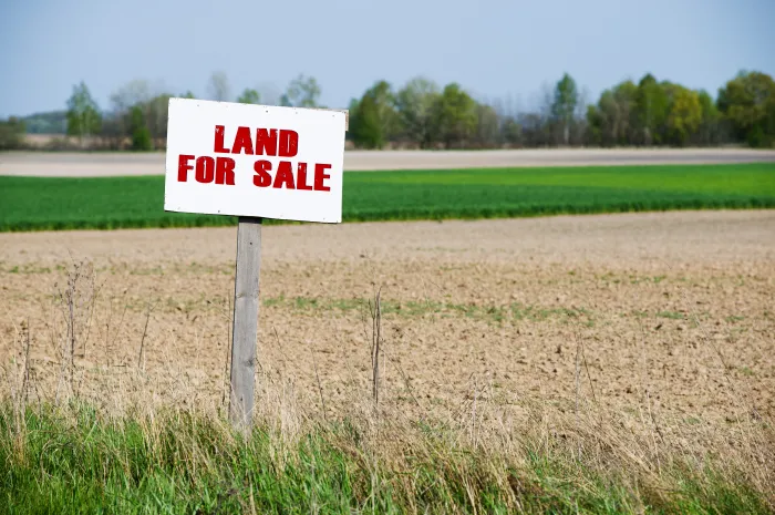 Landscape Land For Sale
