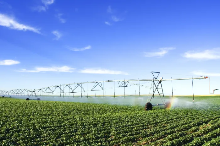 irrigation