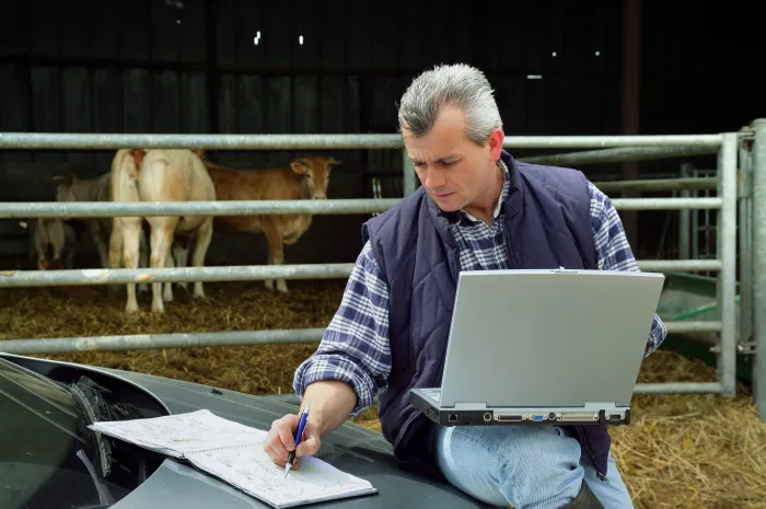 Five Tried and True Financial Strategies for Your Operation