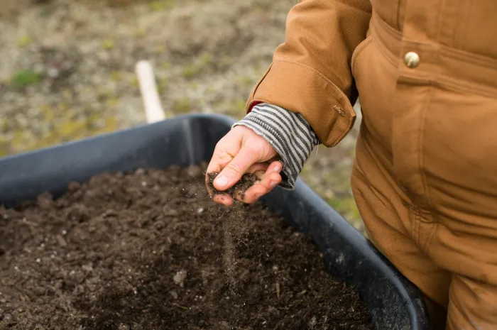 Soil